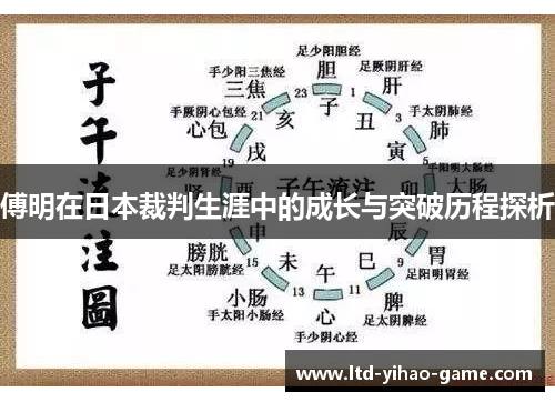 傅明在日本裁判生涯中的成长与突破历程探析