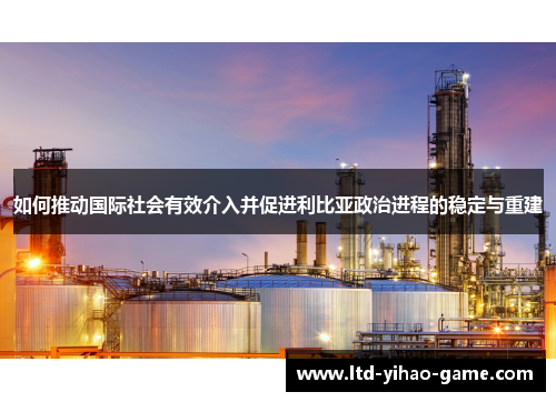 如何推动国际社会有效介入并促进利比亚政治进程的稳定与重建