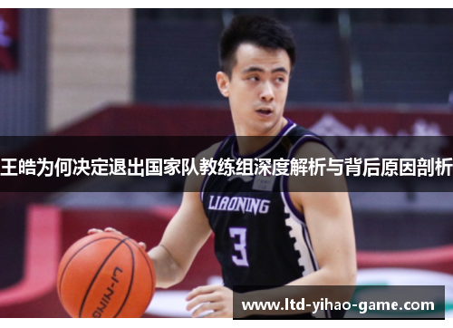 王皓为何决定退出国家队教练组深度解析与背后原因剖析