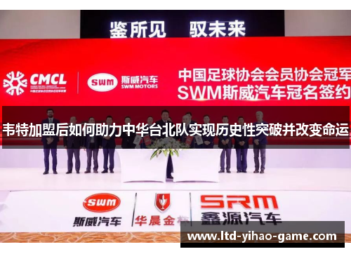 韦特加盟后如何助力中华台北队实现历史性突破并改变命运