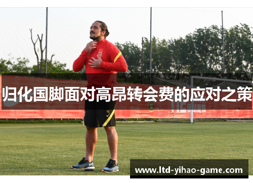 归化国脚面对高昂转会费的应对之策