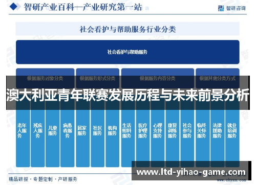 澳大利亚青年联赛发展历程与未来前景分析