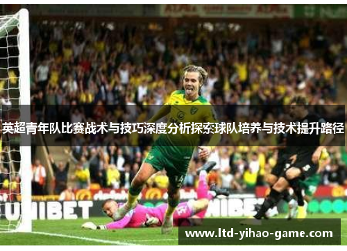 英超青年队比赛战术与技巧深度分析探索球队培养与技术提升路径 英超青年队比赛战术与技巧深度分析探索球队培养与技术提升路径