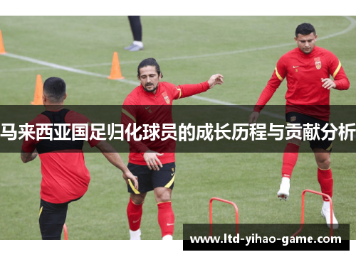 马来西亚国足归化球员的成长历程与贡献分析